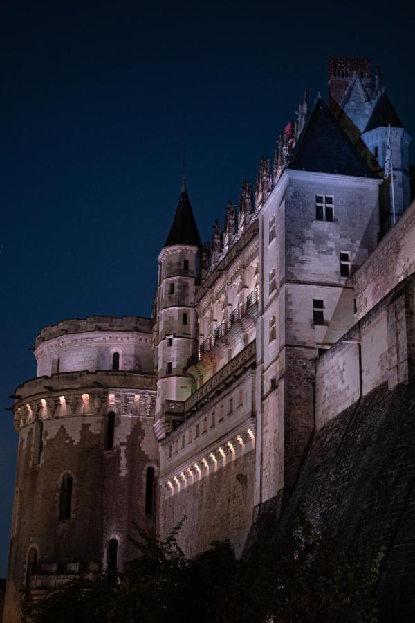 Nouveau-Leconcorde-Vuesurlaloire-Hypercentre Appartamento Amboise Esterno foto